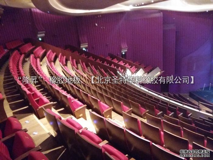北京市天橋演藝劇場橡膠地板工程案例